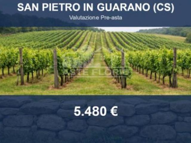 Terreno in vendita a Calabria, Cosenza
