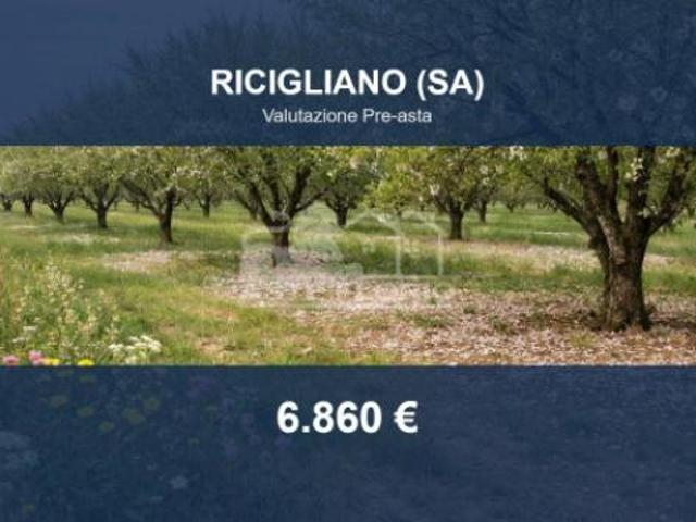 Terreno in vendita a Ricigliano, Campania