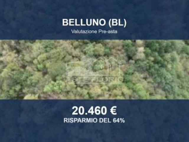 Terreno in vendita a Zoldo Alto, Veneto