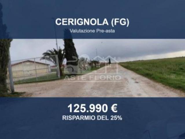 Terreno in vendita a Puglia, Foggia