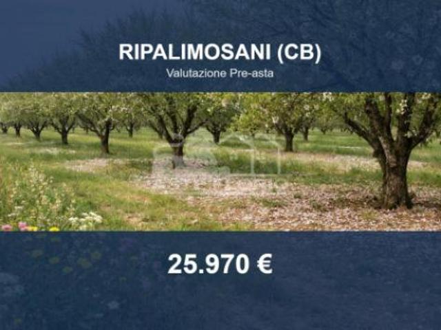 Terreno in vendita a Ripalimosani, Molise