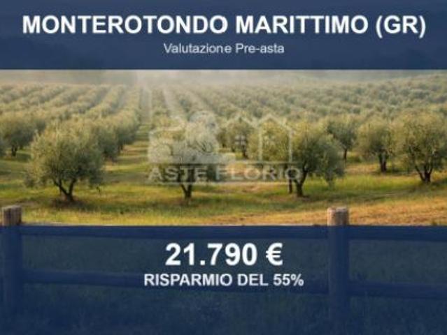 Terreno in vendita a Monterotondo Marittimo, Grosseto