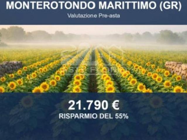 Terreno in vendita a Monterotondo Marittimo, Grosseto