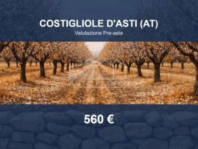 Terreno in vendita a Piemonte, Asti