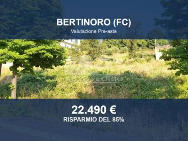 Terreno in vendita a Unione di Comuni della Romagna Forlivese, Bertinoro