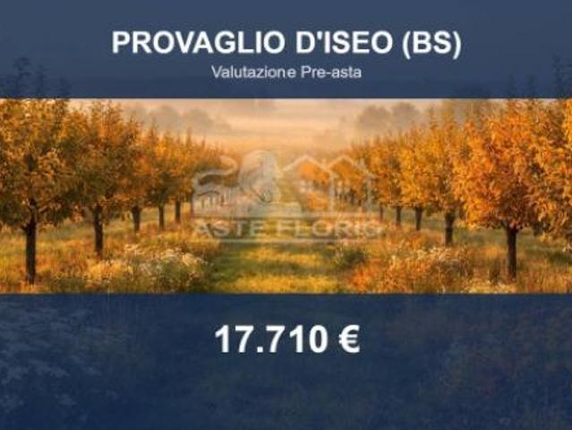 Terreno in vendita a Provaglio D'iseo, Lombardia