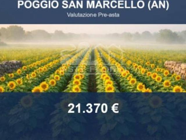Terreno in vendita a Marche, Ancona