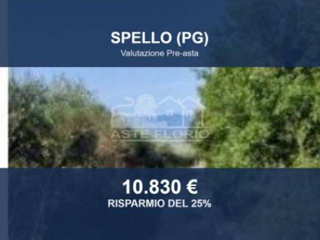 Terreno in vendita a Spello, Umbria