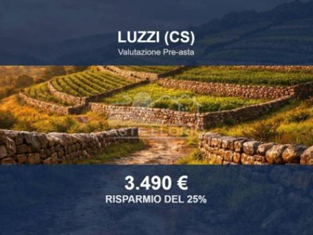 Terreno in vendita a Calabria, Cosenza
