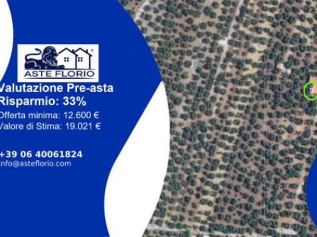 Terreno in vendita a Corato, Bari