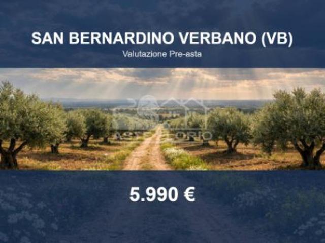 Terreno in vendita a Piemonte, Verbano-cusio-ossola