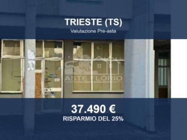 Locale Commerciale in vendita a Servola-Chiarbola-Valmaura-Borgo San Sergio, Villa Opicina