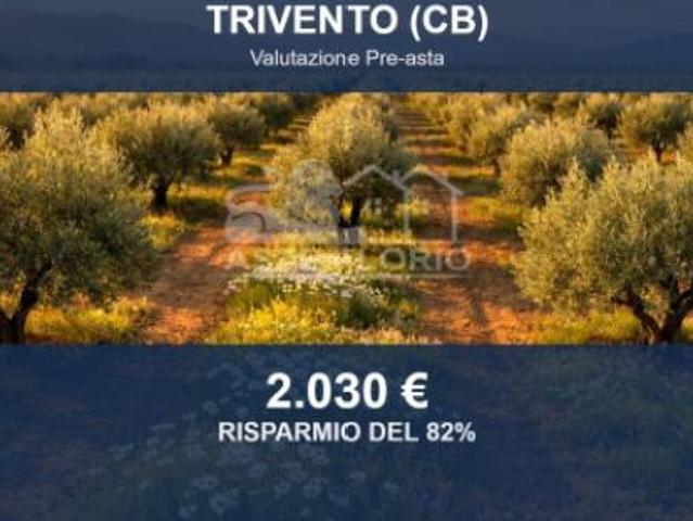 Terreno in vendita a Trivento, Molise
