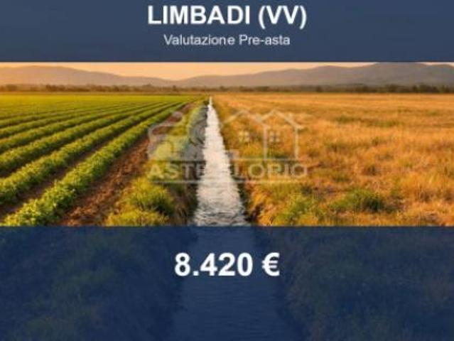 Terreno in vendita a Limbadi, Vibo Valentia