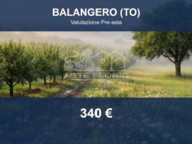 Terreno in vendita a Unione Montana di Comuni delle Valli di Lanzo, Ceronda e Casternone, Piemonte