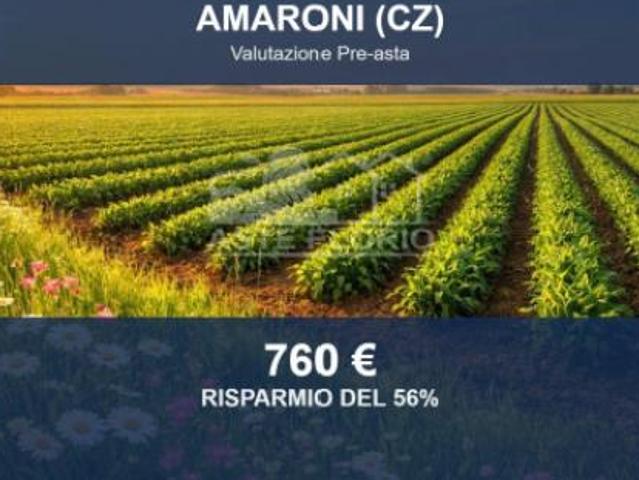 Terreno in vendita a Calabria, Catanzaro