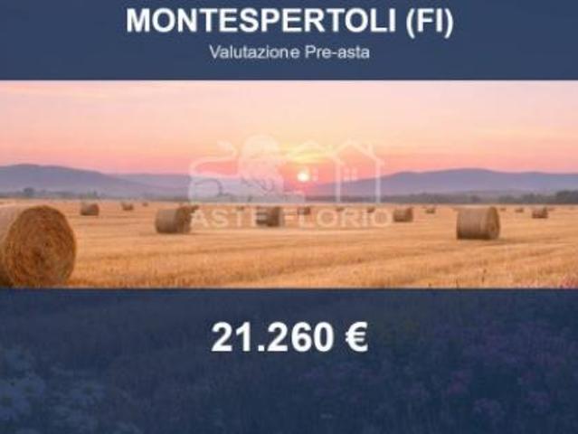 Terreno in vendita a Unione dei Comuni Circondario dell'Empolese Valdelsa, Montespertoli