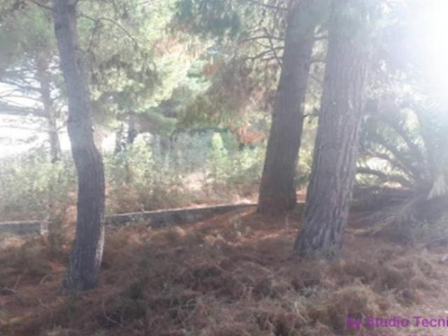 Terreno in vendita a Puglia, Barletta-andria-trani