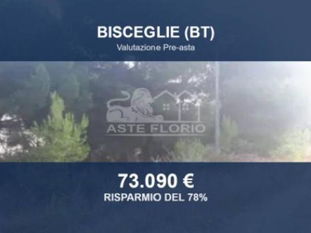 Terreno in vendita a Bisceglie, Barletta-Andria-Trani