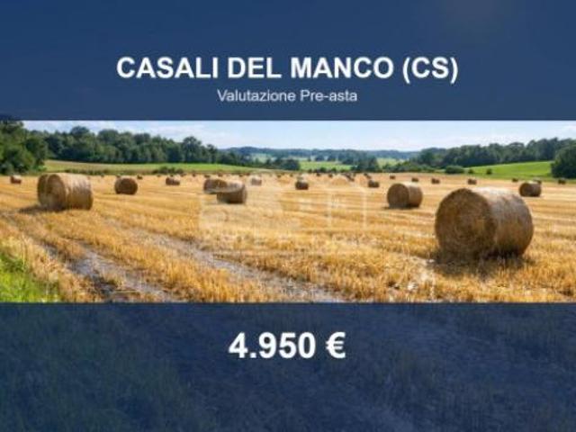 Terreno in vendita a Calabria, Cosenza