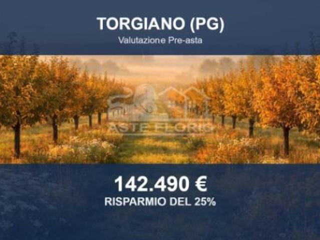 Terreno in vendita a Torgiano, Umbria