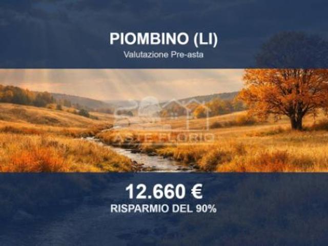 Terreno in vendita a Tolla, Piombino
