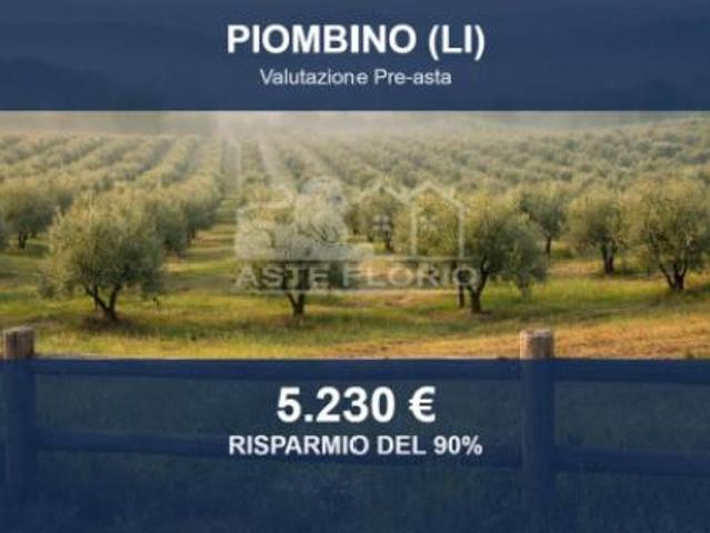 Terreno in vendita a Tolla, Piombino