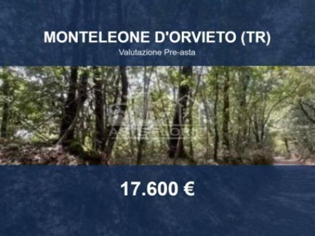 Terreno in vendita a Monteleone D'orvieto, Umbria
