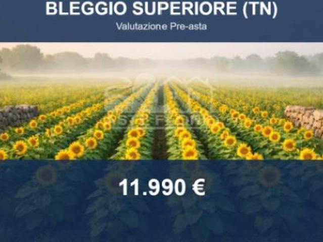 Terreno in vendita a Comunità delle Giudicarie, Bleggio