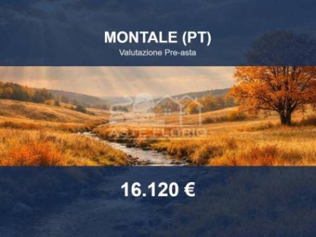 Terreno in vendita a Montale, Toscana