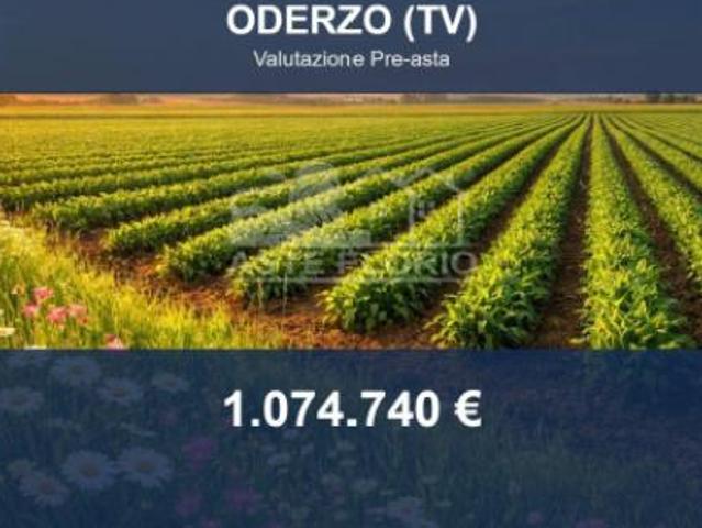Terreno in vendita a Oderzo, Veneto