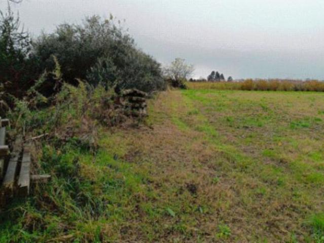 Terreno in vendita a Marcallo Con Casone, Lombardia