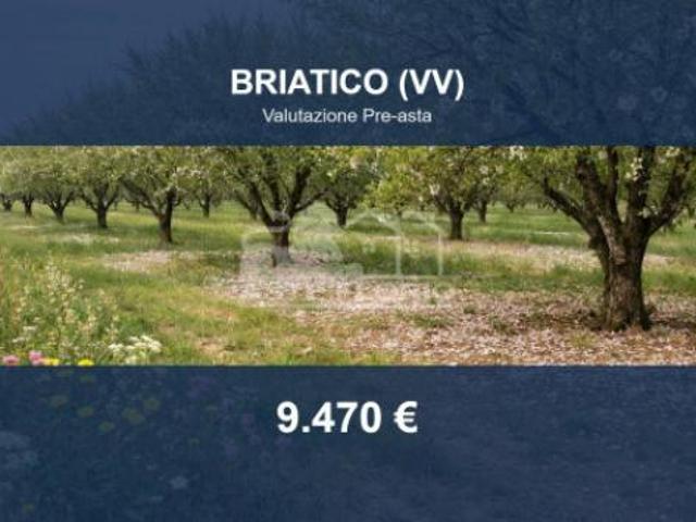 Terreno in vendita a Briatico, Vibo Valentia