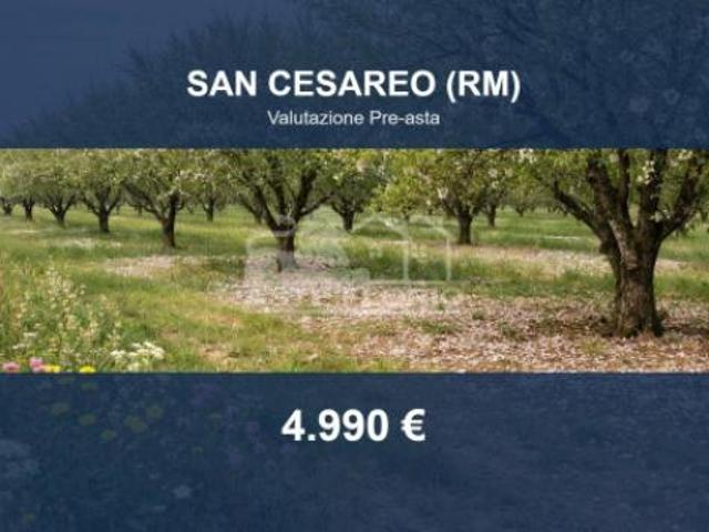 Terreno in vendita a Roma Capitale, Lazio