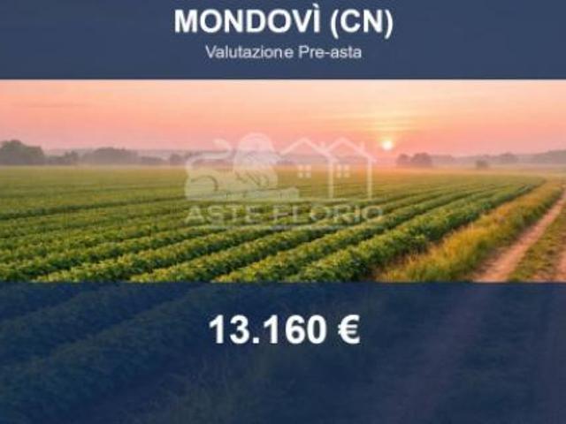 Terreno in vendita a Piazza, Piemonte