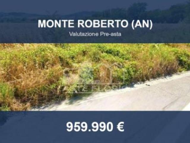 Terreno in vendita a Marche, Ancona