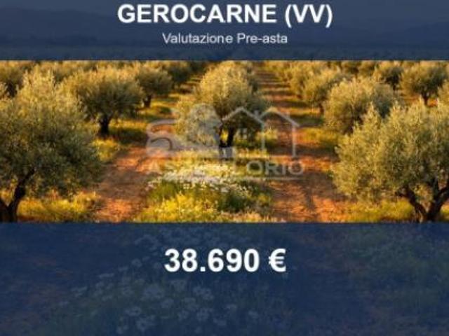 Terreno in vendita a Gerocarne, Vibo Valentia