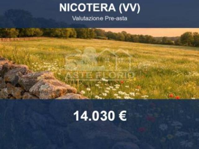 Terreno in vendita a Calabria, Vibo Valentia