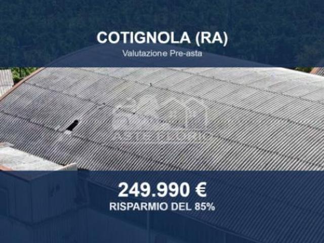 Capannone in vendita a Barbiano, Cotignola