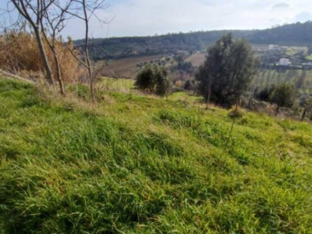 Terreno in vendita a Marche, Fermo