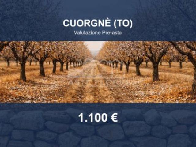 Terreno in vendita a Piemonte, Torino