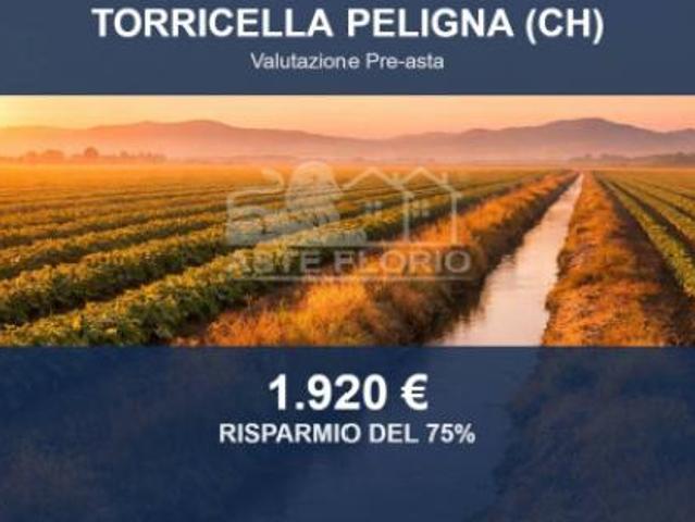 Terreno in vendita a Torricella Peligna, Abruzzo