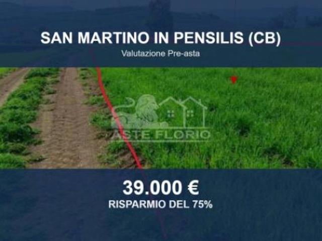 Terreno in vendita a San Martino in Pensilis, Campobasso