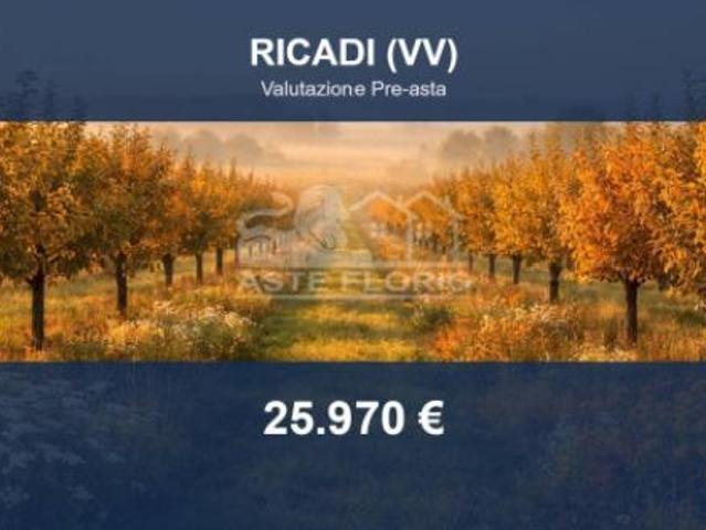 Terreno in vendita a Ricadi, Vibo Valentia