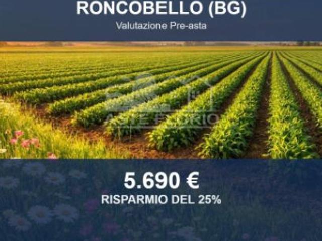Terreno in vendita a Comunità Montana della Valle Brembana, Roncobello