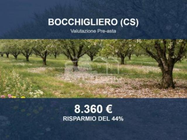 Terreno in vendita a Calabria, Cosenza