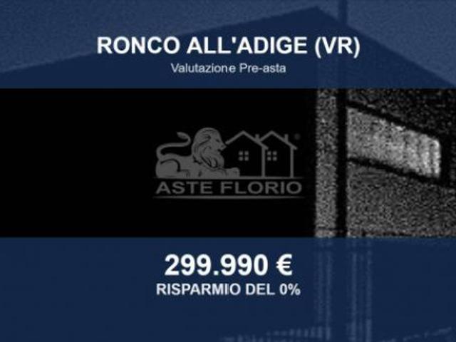 Capannone in vendita a Ronco All'adige, Veneto