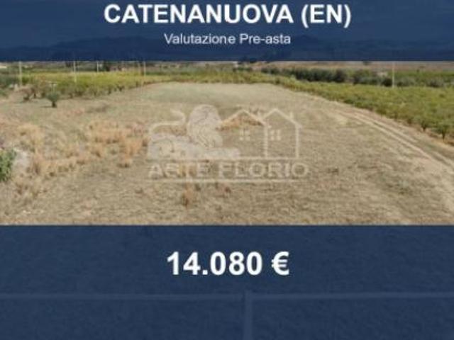 Terreno in vendita a Catenanuova, Sicilia