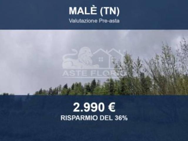 Terreno in vendita a Comunità della Valle di Sole, Malè