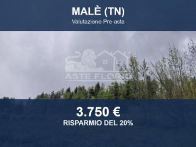 Terreno in vendita a Comunità della Valle di Sole, Malè